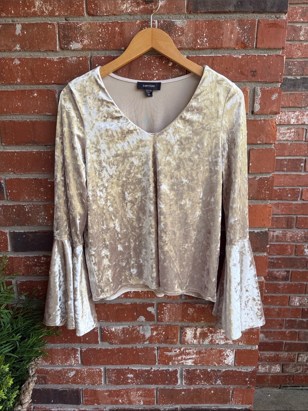 Karen Kane Velvet Blouse in Tan with Flare Sleeves